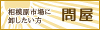 相模原市場に卸したい方 問屋